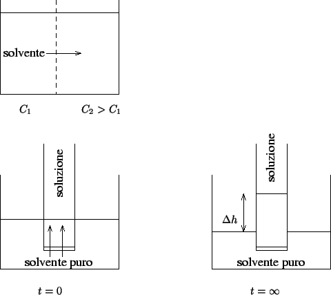 \begin{psfrags}\psfrag{c1}{{$C_1$}}\psfrag{c2}{{$C_2>C_1$}}\psfrag{t=0}{...
...$}}\psfrag{dh} [r]{{$\Delta{}h$}}
\includegraphics{osmosis.eps}
\end{psfrags}