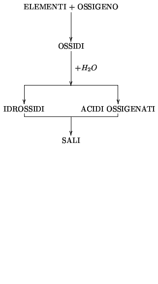 $
\begin{xy}
0;<1em,1em>:
p*+{\mbox{SALI}};p+/u3em/**\dir{-}?<*\dir{<}?>,c=''p1'...
..._2O},
''p5'';p+/u5em/*+{\mbox{ELEMENTI + OSSIGENO}}**\dir{-}?<*\dir{<}
\end{xy}$