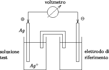 \begin{psfrags}
\psfrag{dummy}{}
\psfrag{voltmeter}{voltmetro}
\psfrag{oplus}[r]...
...{2cm}{elettrodo di\\ riferimento}}
\includegraphics {agplus-ag.eps}\end{psfrags}