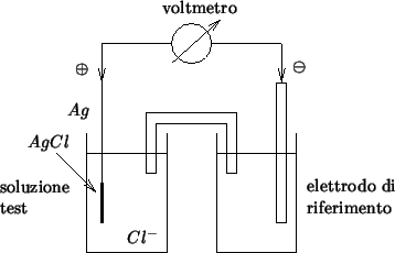 \begin{psfrags}
\psfrag{dummy}{}
\psfrag{voltmeter}{voltmetro}
\psfrag{oplus}[r]...
...box{2cm}{elettrodo di\\ riferimento}}
\includegraphics{agcl-ag.eps}\end{psfrags}