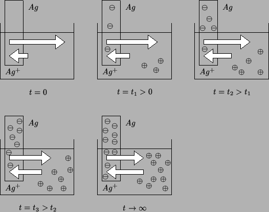 \begin{psfrags}
\psfrag{p}{{$\oplus$}}
\psfrag{m}{{$\ominus$}}
\psfrag{ag}{{$Ag$...
...E}[c][c]{{$t\rightarrow\infty$}}
\includegraphics {equilibrium.eps}\end{psfrags}