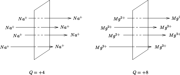 \begin{psfrags}\psfrag{dummy}{}\psfrag{nar} [r][r]{{$Na^+$}}\psfrag{nal} ...
...}}\psfrag{q=8} [c][c]{{$Q=+8$}}
\includegraphics{equiv-conc.eps}
\end{psfrags}